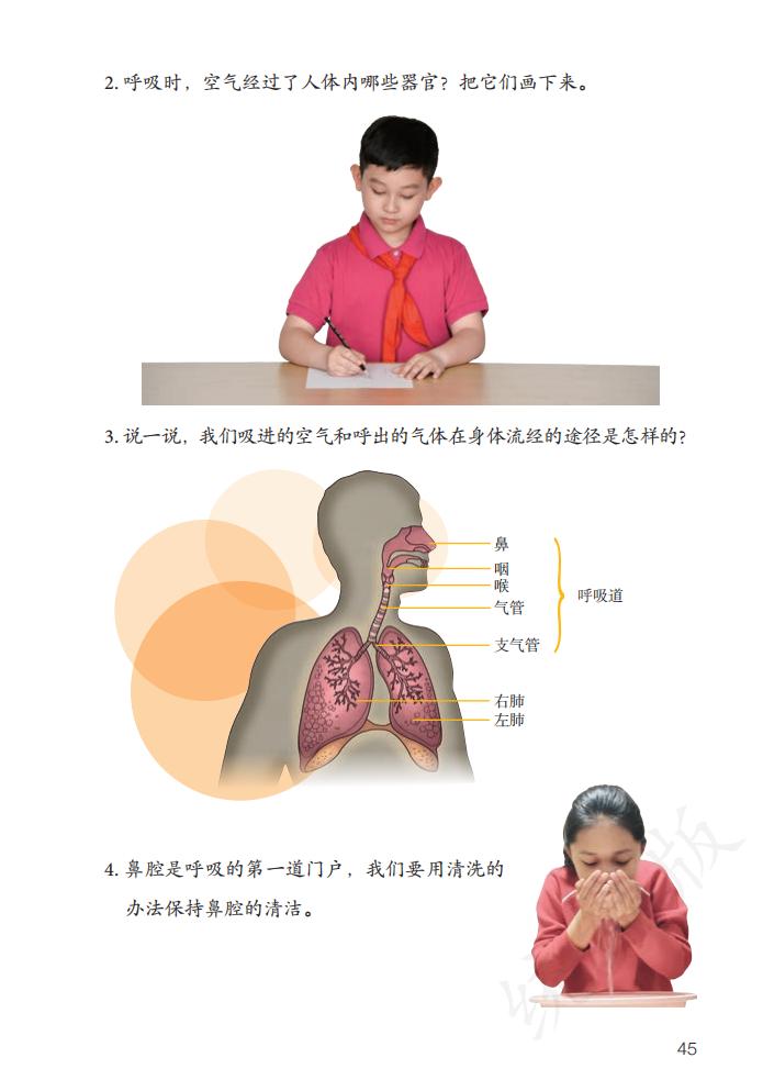 第四单元 我们的呼吸 人教版2019年审定三年级科学上册课本 人教版小学课本